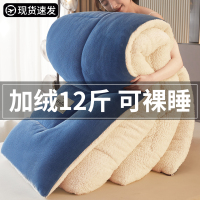 星月居冬季羊羔绒毛毯加厚牛奶绒被子被芯办公室午睡毯沙发盖毯子床上用