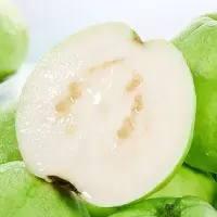 礼盒装[苏鲜生]新鲜白心芭乐 番石榴 净重4.5斤装 新鲜水果 甘甜可口