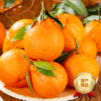 [熊猫鸟]四川不知火柑橘 净重5斤 大果 单果75mm+ 箱装 丑橘 橘子 新鲜应季水果