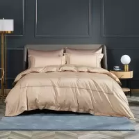 罗莱家纺(LUOLAI) 珊妮100支全棉贡缎四件套