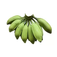 [西沛生鲜]牛角香蕉 净重5斤 箱装 新鲜当季水果 香甜软糯 孕妇宝宝辅食