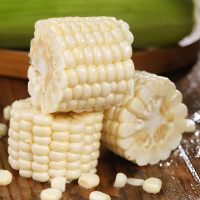 [西沛生鲜]福建牛奶玉米 净重4斤装 单根220g+ 箱装 香甜可口 时令蔬菜