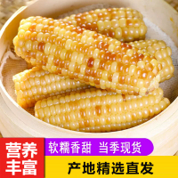 [西沛生鲜]云南新鲜拇指玉米 香糯小玉米 净重4斤 黏玉米甜糯玉米袋装粘玉米黄糯玉米现摘