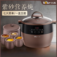 小熊(Bear)电炖锅 电炖盅 隔水炖锅 煲汤锅炖汤锅 电砂锅 紫砂锅 煮粥锅5-6人大容量可预约定时DDZ-B45Z1