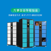 西科可定制智能存包柜储物柜XW-CWG01
