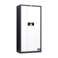 臻远 ZY5121105 文件柜档案资料柜钢制密码锁 灰白套色通门电子锁