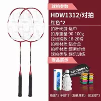 Hodtown 何大屋经典羽毛球拍HDW1312