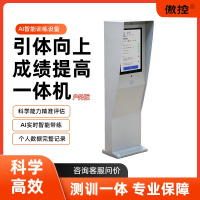 傲控 引体向上成绩提高一体机AK-TD-YT01H 户外版 套装