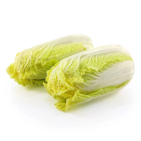 蔬果SN有机精选混合蔬菜新鲜速递健康绿色无农药健康美味