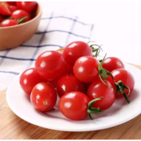 *小番茄 1公斤