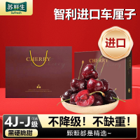 礼盒装[苏鲜生]顺丰空运 智利进口车厘子 J 净重3斤装 应季车厘子 新鲜水果 酸甜可口
