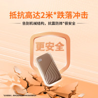 西部数据(WD)2TB NVMe 移动固态硬盘