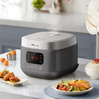 小熊电饭煲DFB-F30V2(单位:个)
