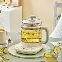 小熊养生壶YSH-D15T3(单位:个)