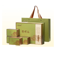 闽春韵 青山碧水-碧螺春茶礼500g