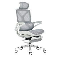 臻远 ZY-8934 办公椅午休椅转椅 白框 摆动扶手 单位:把