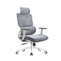 臻远 ZY-8938 办公椅人体工学椅转椅 定型棉白框 单位:把
