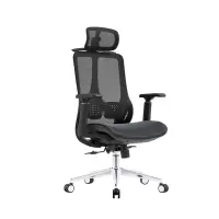 臻远 ZY-8951 办公椅人体工学椅转椅 3D扶手 黑框 单位:把