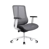 臻远 ZY-8952 办公椅人体工学椅转椅 3D扶手 白框 单位:把
