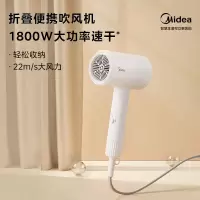 美的电吹风FT101