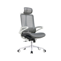 臻远 ZY-8954 办公椅人体工学椅转椅 摆动扶手 白框 单位:把