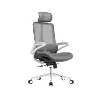 臻远 ZY-8954 办公椅人体工学椅转椅 摆动扶手 白框 单位:把