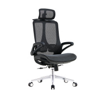 臻远 ZY-8955 办公椅人体工学椅转椅 摆动扶手 黑框 单位:把