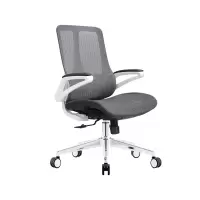 臻远 ZY-8956 办公椅人体工学椅转椅 摆动扶手 白框 单位:把