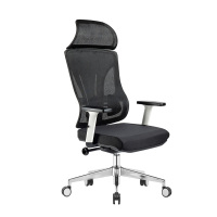 臻远 ZY-8958 办公椅人体工学椅转椅 定型棉白框 单位:把