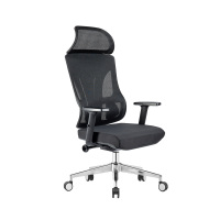 臻远 ZY-8959 办公椅人体工学椅转椅 定型棉黑框 单位:把