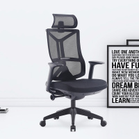 臻远ZY-7822 办公椅人体工学椅转椅电脑椅 黑色固定扶手