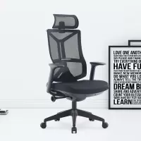 臻远ZY-7822 办公椅人体工学椅转椅电脑椅 黑色固定扶手