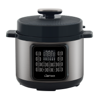 联创5L电压力锅DF-BL6036MB