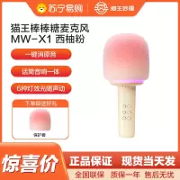 猫王灵感棒棒糖麦克风唱歌儿童话筒音响一体无线蓝牙K歌家庭用KTV 西柚粉