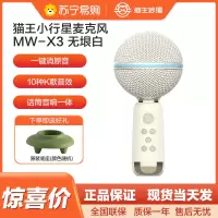 猫王收音机猫王灵感小行星麦克风音响一体式话筒家用K歌音箱K歌宝智能降噪超长续航娱乐家庭KTV 无垠白