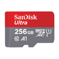 闪迪(SanDisk)256GB TF(MicroSD)内存卡 A1