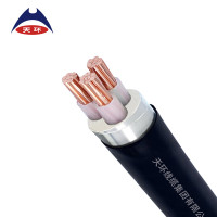 天环 YJV22-0.6/1KV-3*16 低压铜芯铠装电力电缆 1米