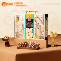 臻味(Delicious) 高端坚果干果礼 9袋每日坚果休闲零食 环球瑞果1650g