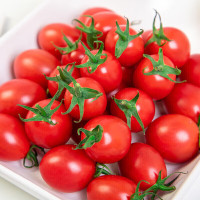 新鲜圣女果小番茄 1斤