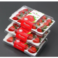 顺丰快递[苏鲜生]彩箱装 四川正宗大凉山草莓 中果 单果20g左右 净重1.2斤 (300g*2) 新鲜水果