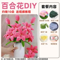 扭扭棒百合花束手工diy材料包全套手工编织手工花无聊解闷扭扭花-粉桃百合(约做10朵花+3个花苞)