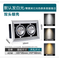 百士安 led射灯双头嵌入式商用方形格栅天花灯 银壳 COB双头40W斗胆灯孔31_16CM_白光