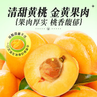 [百草味]黄桃干100g*5袋