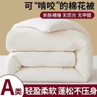 舒梓晴A类新疆棉花被子被芯150*200 6斤