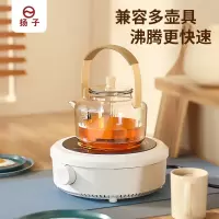 扬子HLY-01 电陶炉