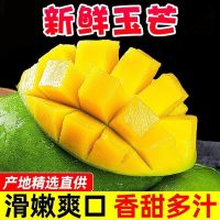 [熊猫鸟]正宗越南玉芒 净重4.5斤 单果300g+ 青皮特级大芒果金煌芒爆甜新鲜应季水果