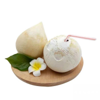 [熊猫鸟]海南牛奶椰皇 2个装 中果 单果500-750g 新鲜椰子 当季热带水果