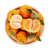 耙耙柑精品特大果80#+ 12个左右 5斤彩箱装