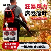林晟锂电背负式吹风机吹树叶大功率除尘吹灰鼓风机大棚吹雪机LS880L