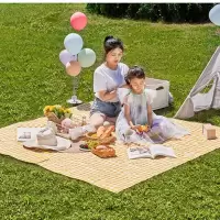 尚烤佳牛津布黄格野餐垫SKJ-233
